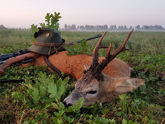 Myslivost v honitbách městských lesů Třeboň