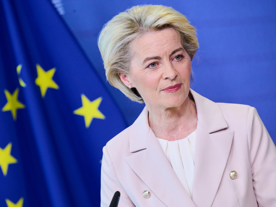 Brusel navrhl oslabit ochranu vlků, ochránci přírody jsou proti