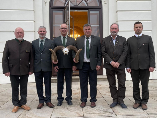 Nová nejsilnější mufloní trofej světa z oborního chovu