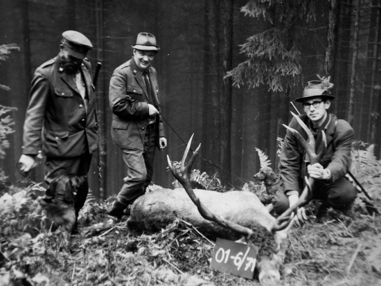 Odešel fořt ze Studeného vrchu