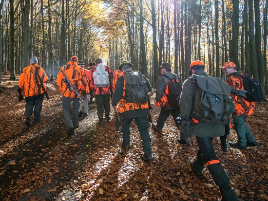 Mimořádná opatření se na myslivost nevztahují