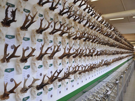 Ilustrační fotografie archiv redakce