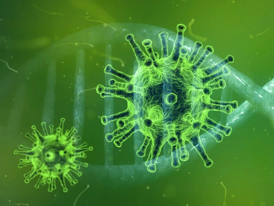 Ilustrační fotografie Pixabay