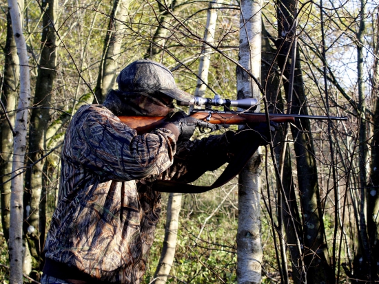 Ilustrační fotografie Pixabay