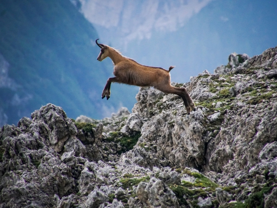 Ilustrační fotografie Pixabay