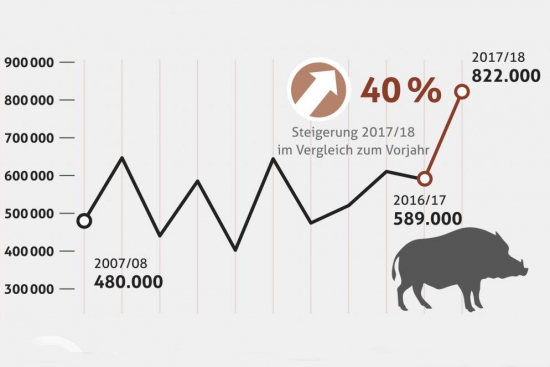 Infografika: DJV