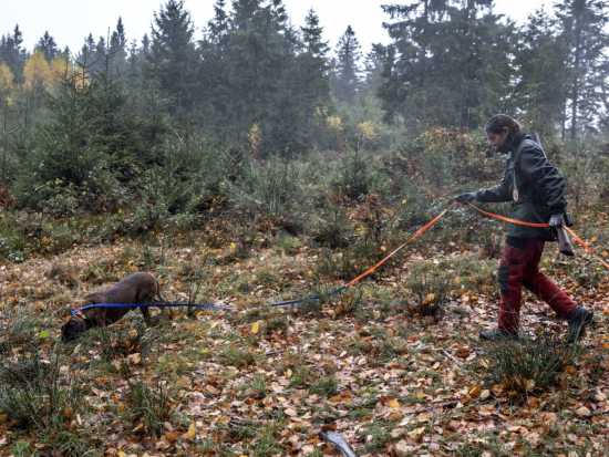 ISHV Suche – mezinárodní setkání barvářů už příští týden na Kladské