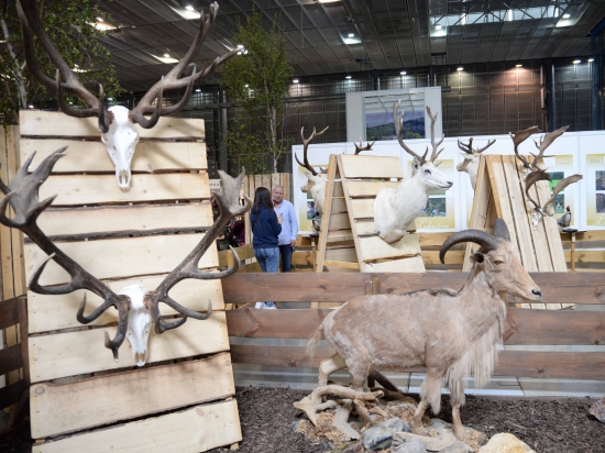 Příběhy myslivosti na výstavě v Brně