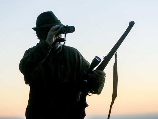 Jaký byl rok 2020 v myslivosti? A jaký bude rok 2021?