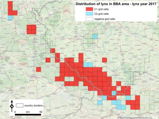 Mapa rozšíření česko-bavorsko-rakouské populace rysa ostrovida v rysím roce 2017. Červeně kvadráty, kde byl rys potvrzen pomocí tzv. SCALP C1 dat (nejkvalitnější data – fotka z fotopasti, mrtvé zvíře nebo DNA vzorek). Modře kvadráty, kde byl rys potvrzen pomocí C2 dat (středně kvalitní data – rysí stopa nebo kořist zdokumentovaná fotograficky). Prázdné kvadráty byly sledovány pomocí fotopastí, rys zde ale zaznamenán nebyl.