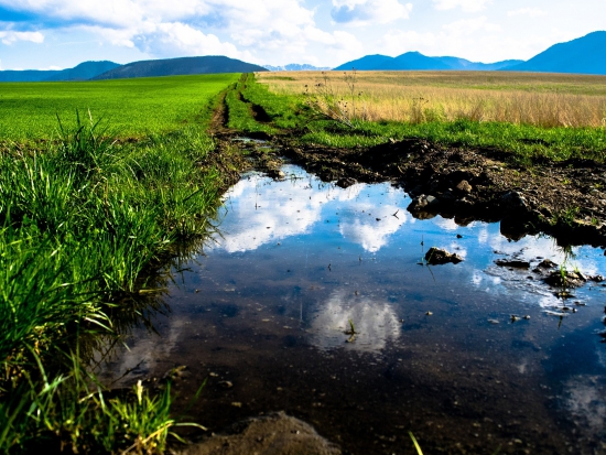 Jsme opět o něco blíž k zákazu používání olova v brokovém střelivu