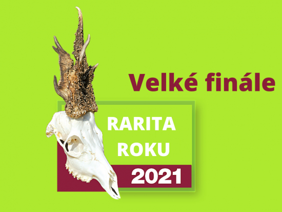 Velké finále soutěže Rarita roku 2021